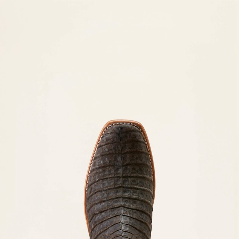 Ariat Futurity Finalist Cowboy Boot Chocolat Doré Homme | FUJ-18888389