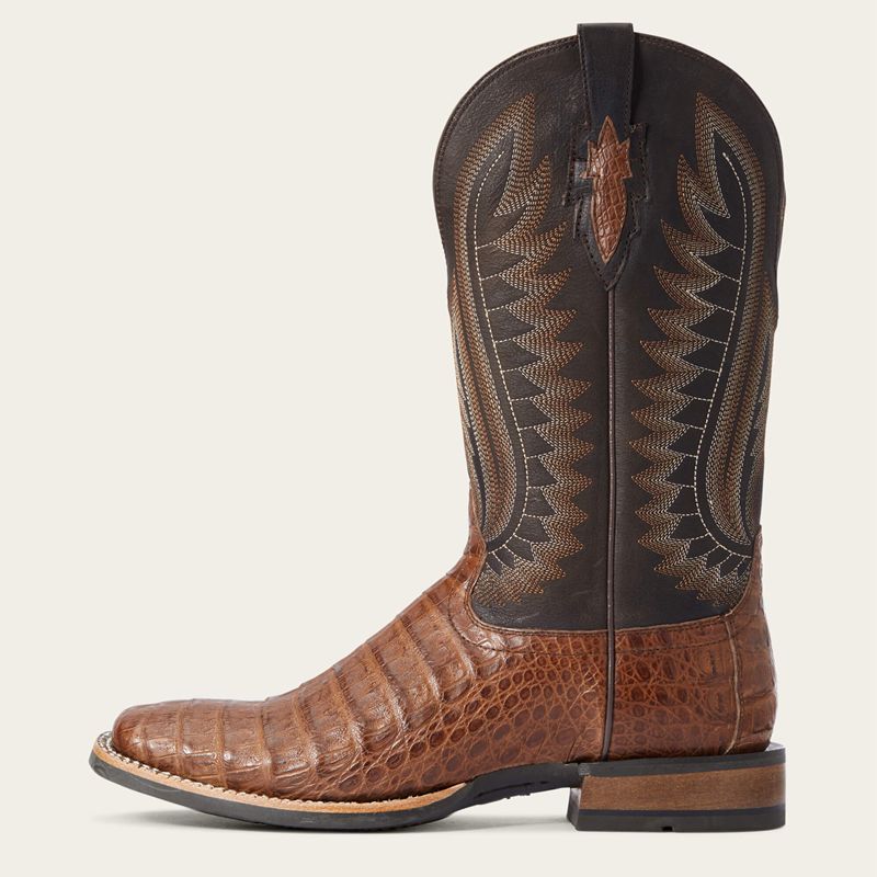 Ariat Double Down Western Boot Caramel Caiman Belly Homme | QEQ-63225459