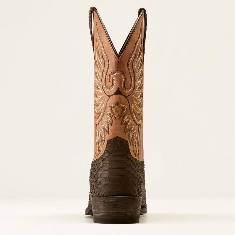 Ariat Circuit High Stepper Python Cowboy Boot Chocolat Homme | RLR-35553438