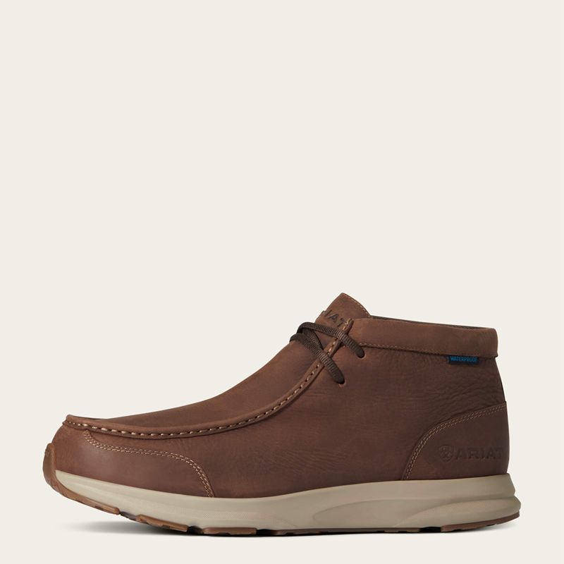 Ariat Spitfire H2o Marron Homme | EGH-19169616