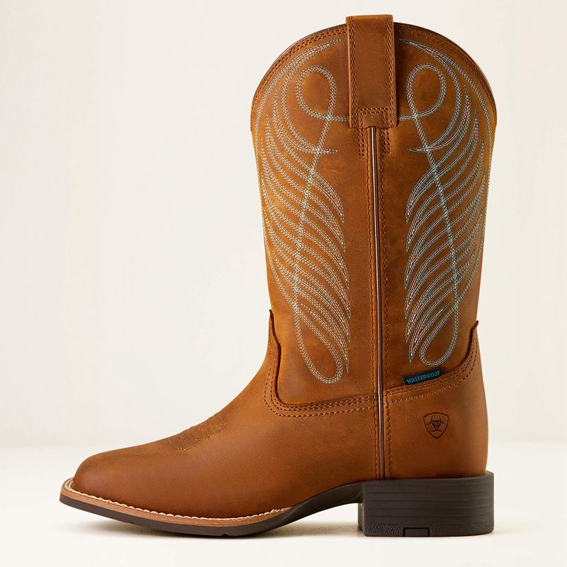 Ariat Round Up Wide Square Toe Waterproof Western Boot Marron Femme | XQG-05486017