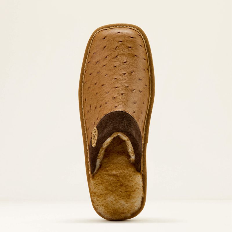 Ariat Silversmith Square Toe Exotic Slipper Marron Homme | YWC-01813410