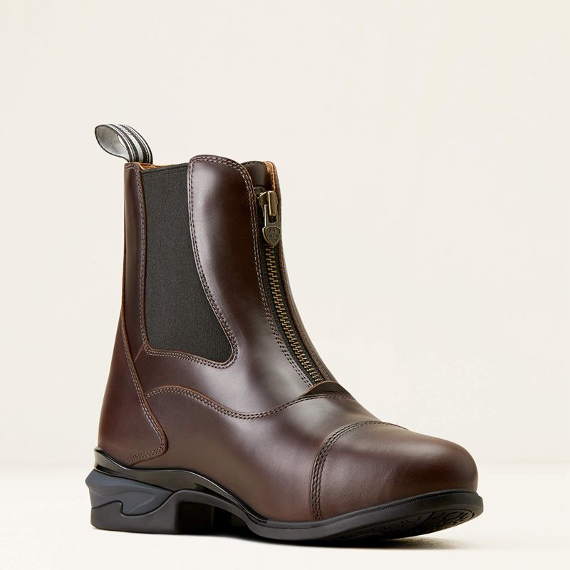 Ariat Devon Zip Paddock Boot Chocolat Homme | WUQ-39875014