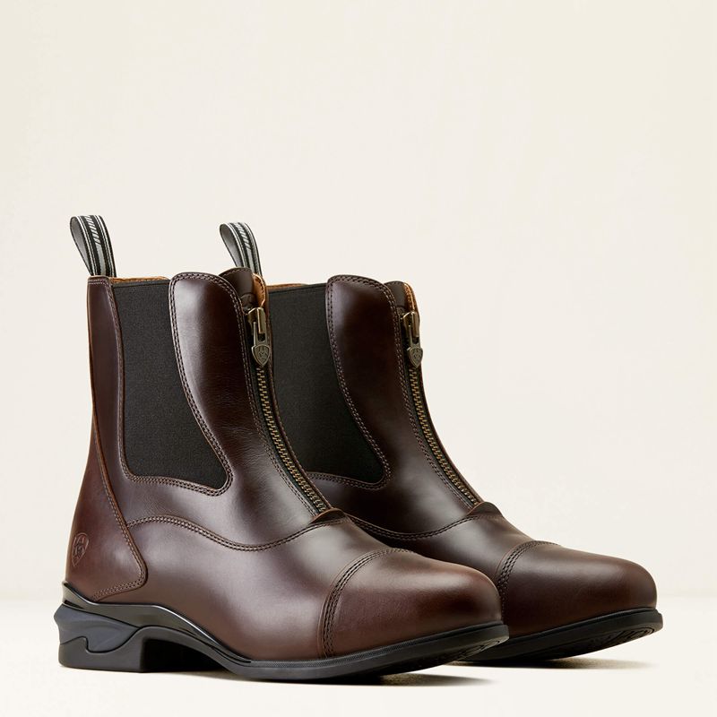 Ariat Devon Zip Paddock Boot Chocolat Homme | WUQ-39875014