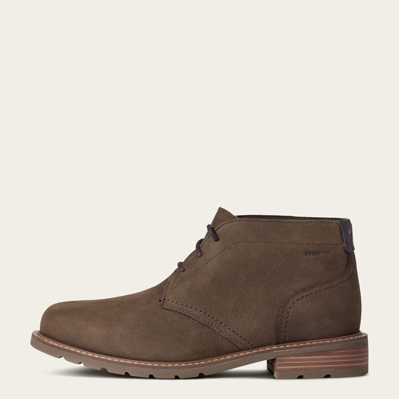 Ariat Kingham Waterproof Boot Java Homme | PSX-47406388