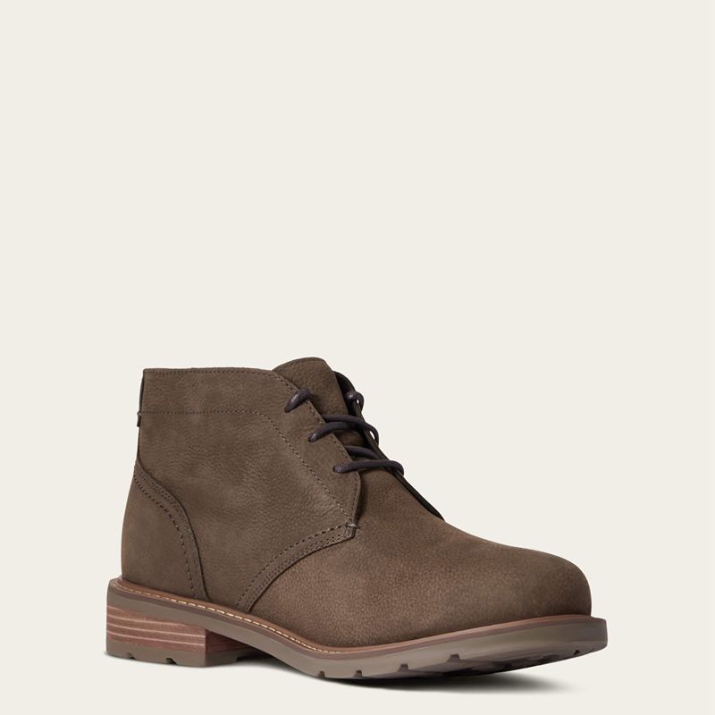 Ariat Kingham Waterproof Boot Java Homme | PSX-47406388