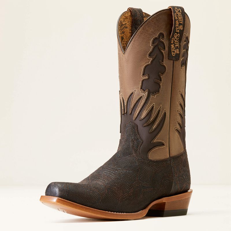 Ariat High Stepper Sendero Western Boot Chocolat Serpent Homme | WSW-74995219