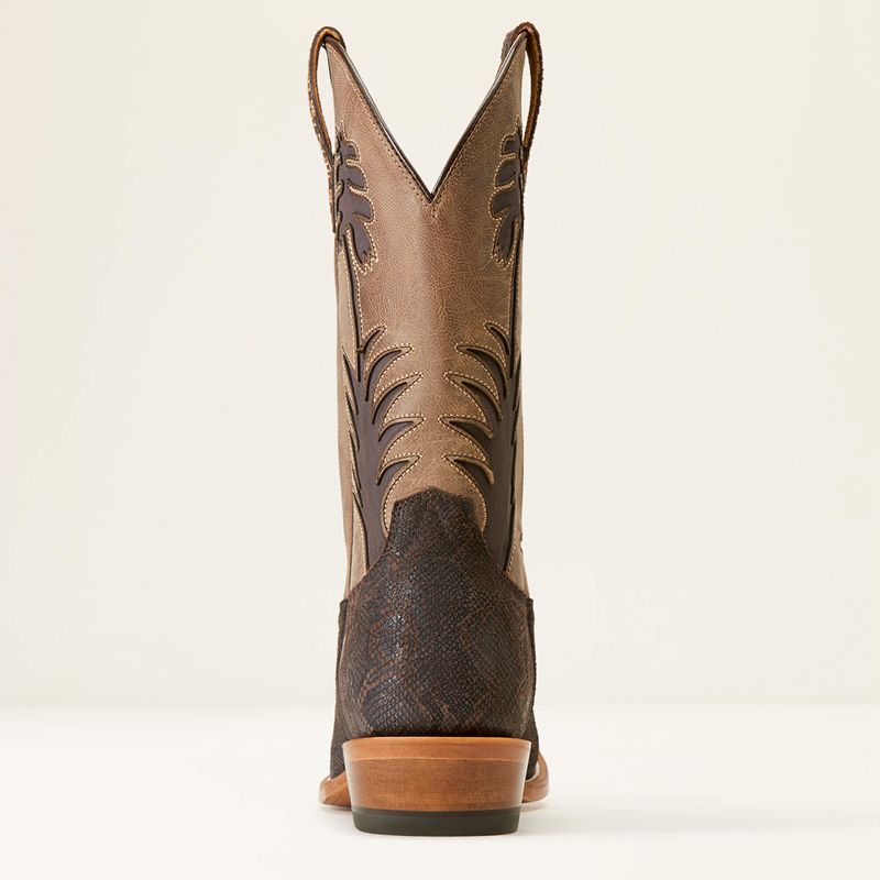 Ariat High Stepper Sendero Western Boot Chocolat Serpent Homme | WSW-74995219