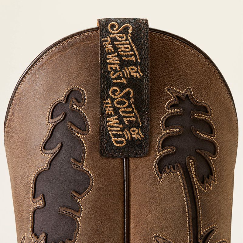 Ariat High Stepper Sendero Western Boot Chocolat Serpent Homme | WSW-74995219