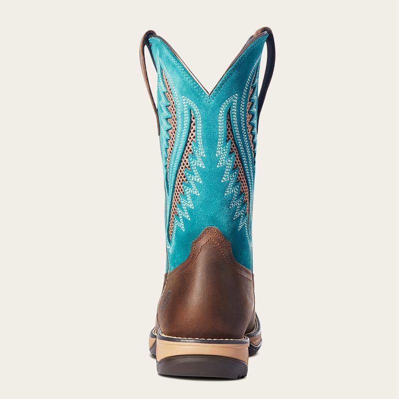 Ariat Anthem Venttek Western Boot Chocolat Femme | IQS-99081429