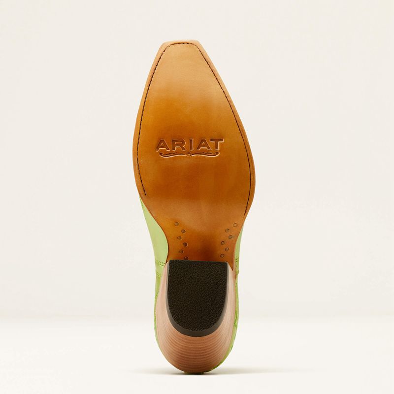 Ariat Dixon Bootie Vert Femme | BSC-24702541