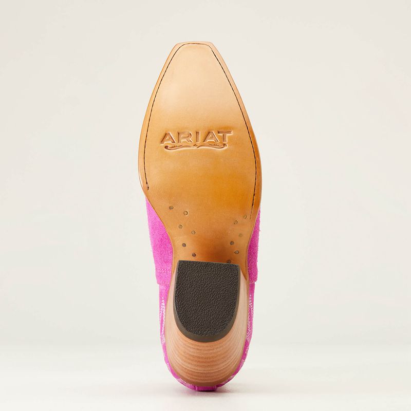 Ariat Dixon Bootie Rose Femme | OEY-40038287