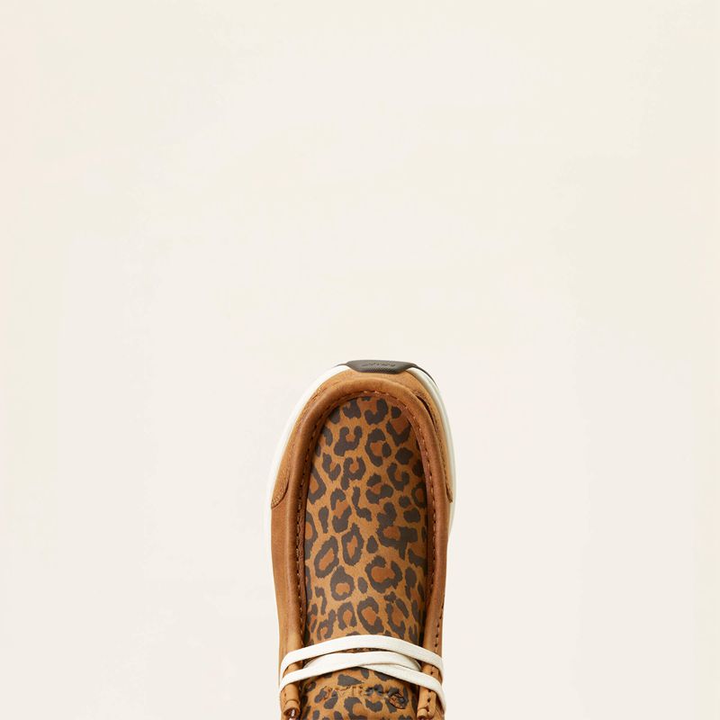 Ariat Spitfire Chasing Cheetah Femme | AOT-16034904