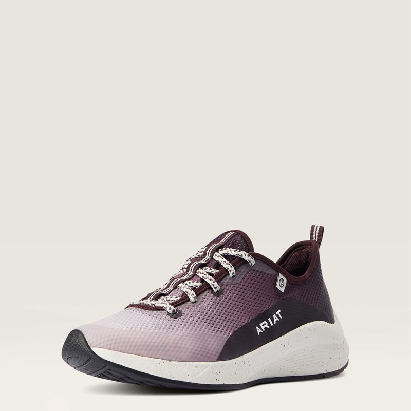 Ariat Shiftrunner Winetasting Femme | BOX-55047181