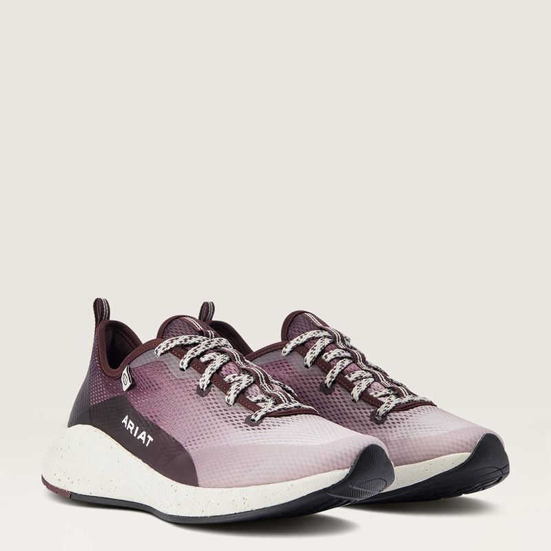 Ariat Shiftrunner Winetasting Femme | BOX-55047181