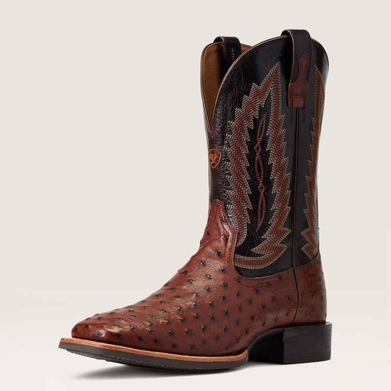 Ariat Quantum Primo Western Boot Antique Tabac Fq Ostrich Homme | KNF-99626350