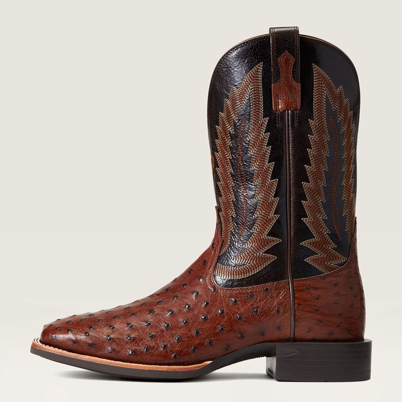 Ariat Quantum Primo Western Boot Antique Tabac Fq Ostrich Homme | KNF-99626350