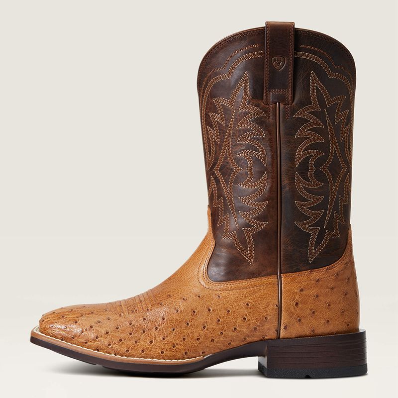 Ariat Night Life Ultra Western Boot Ranger Smooth Quill Ostrich Homme | PBC-16488498