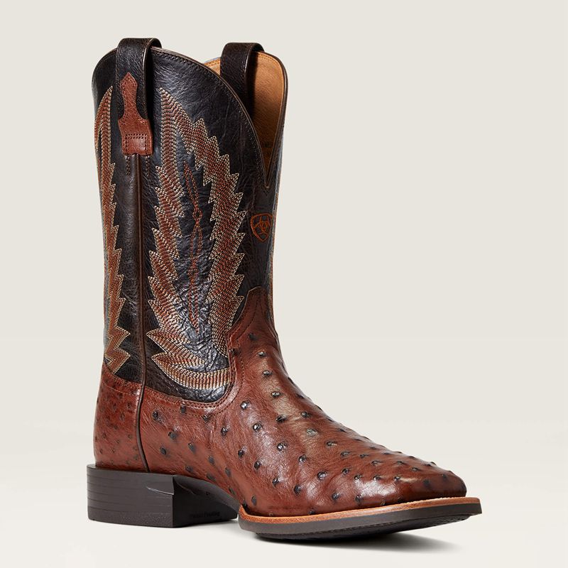 Ariat Quantum Primo Western Boot Antique Tabac Fq Ostrich Homme | KNF-99626350