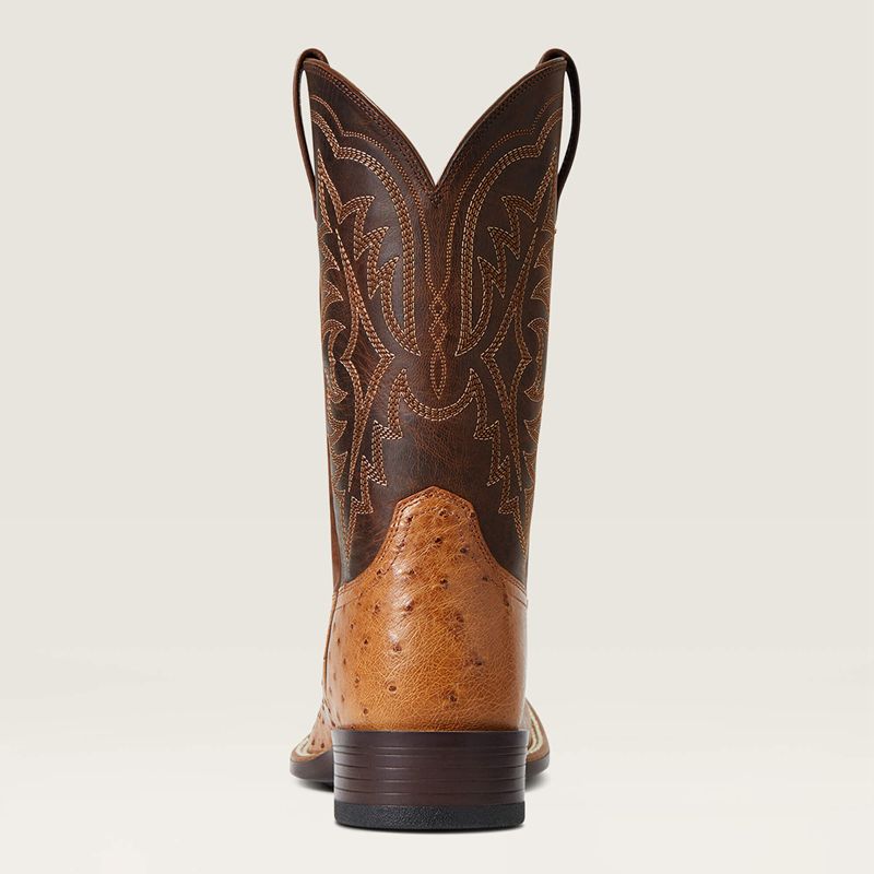 Ariat Night Life Ultra Western Boot Ranger Smooth Quill Ostrich Homme | PBC-16488498