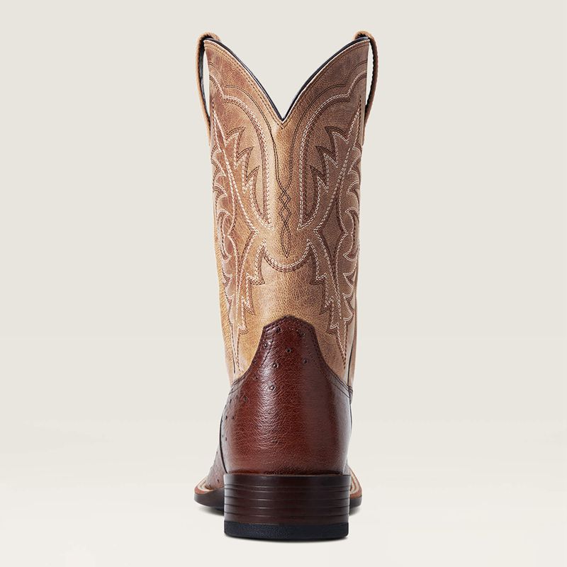 Ariat Night Life Ultra Western Boot Antique Tabac Sq Ostrich Homme | TMT-00104070