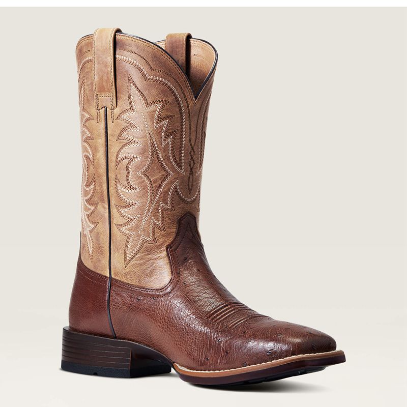 Ariat Night Life Ultra Western Boot Antique Tabac Sq Ostrich Homme | TMT-00104070