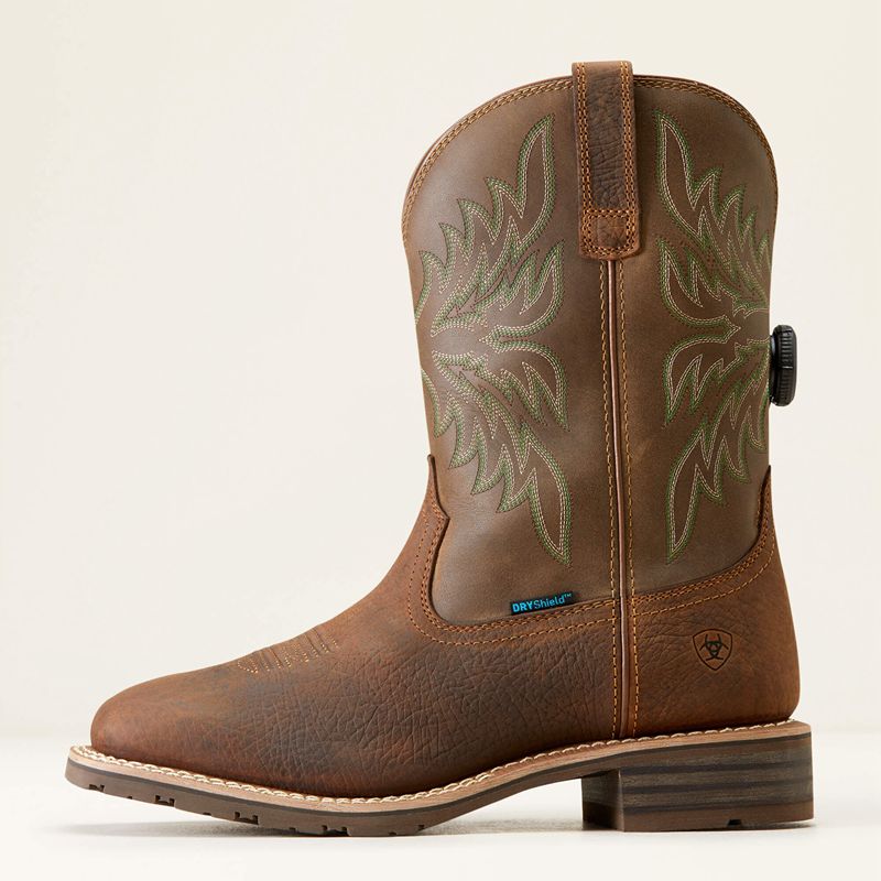 Ariat Hybrid Rancher Boa Waterproof Cowboy Boot Marron Homme | OJY-69898945