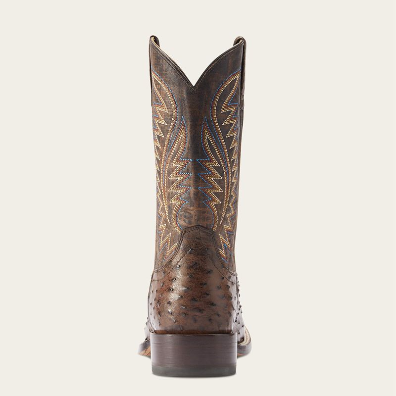 Ariat Gallup Western Boot Mocha Full Quill Ostrich Homme | RHX-60925657