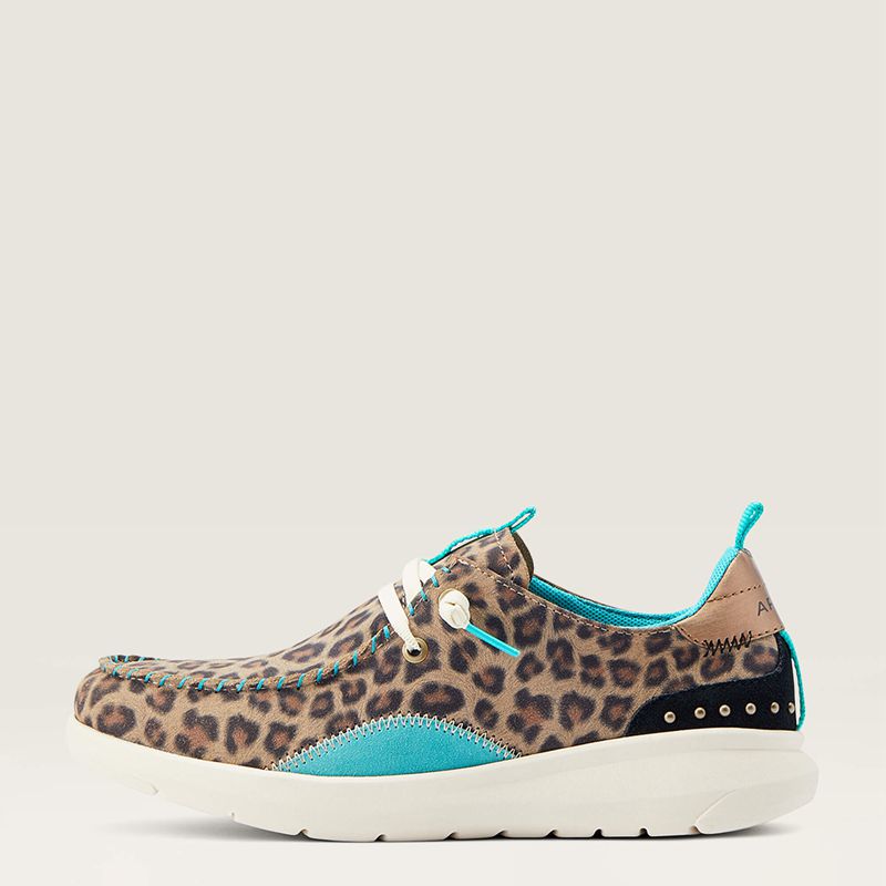 Ariat Hilo Studs Leopard Femme | YFK-02751294