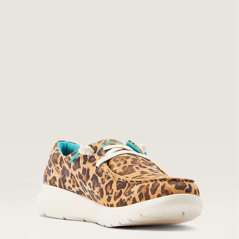 Ariat Hilo Leopard Femme | XLB-15071567