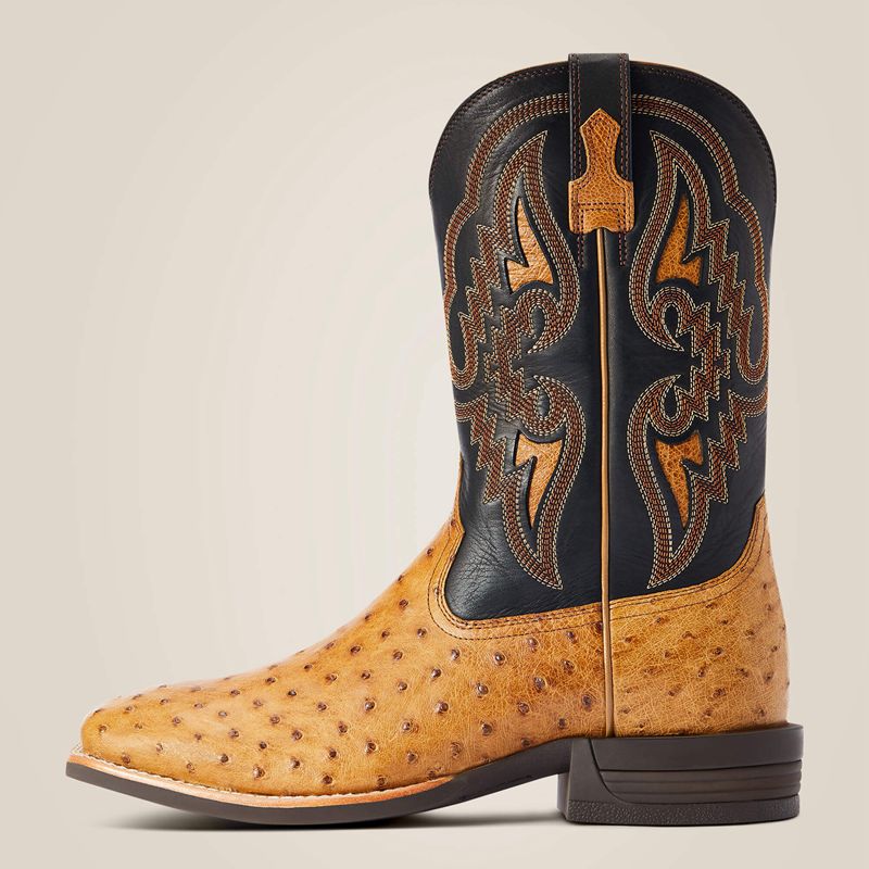 Ariat Dagger Western Boot Antique Saddle Fq Ostrich Homme | CWG-44541011