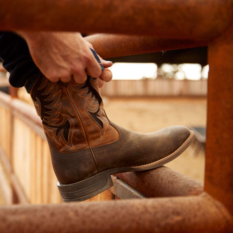 Ariat Cowpuncher Venttek Cowboy Boot Marron Foncé Homme | VNJ-08727996