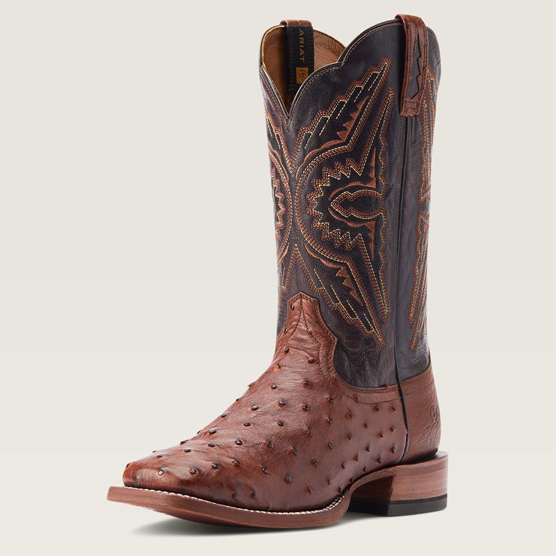 Ariat Broncy Western Boot Cinnamon Full Quill Ostrich Homme | XXF-67883438