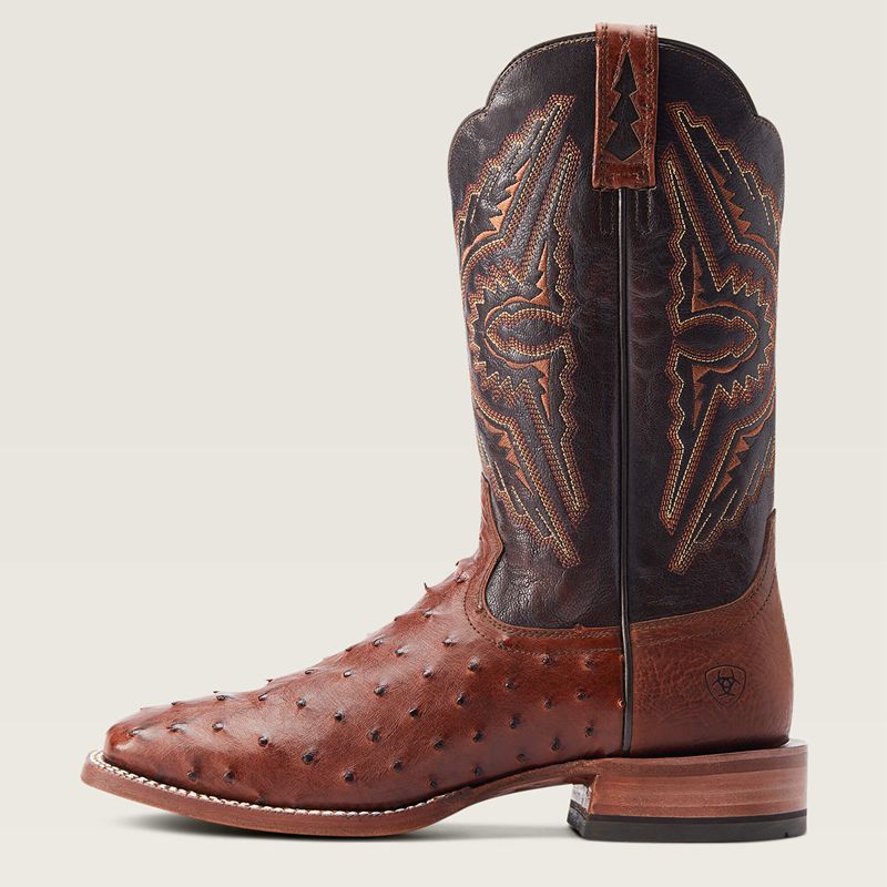 Ariat Broncy Western Boot Cinnamon Full Quill Ostrich Homme | XXF-67883438