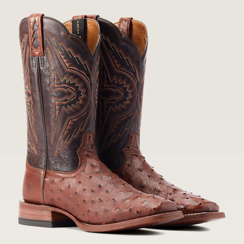 Ariat Broncy Western Boot Cinnamon Full Quill Ostrich Homme | XXF-67883438