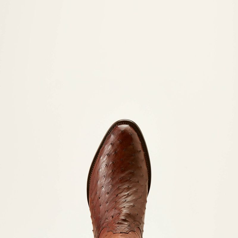 Ariat Bench Made James Western Boot Bourbon Full Quill Ostrich Homme | MSQ-61969465