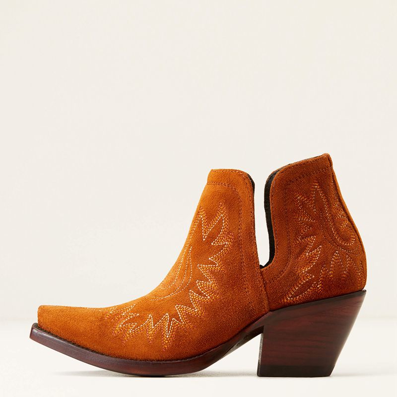 Ariat Dixon Bootie Penny Suede Femme | AWT-88620954