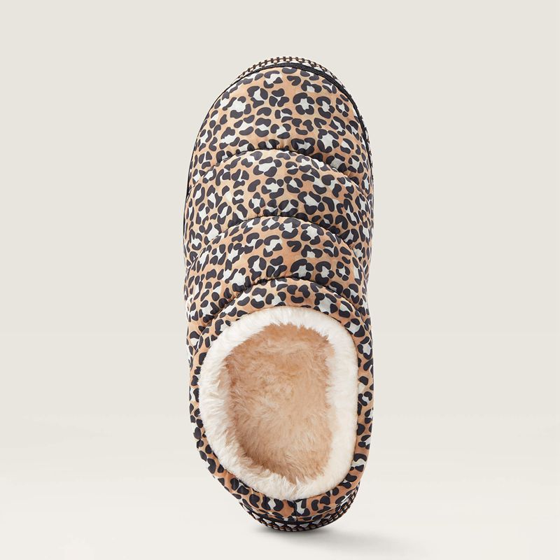 Ariat Crius Clog Slipper Leopard Femme | LOB-50048386