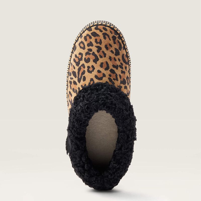 Ariat Melody Slipper Leopard Femme | TJF-48594124