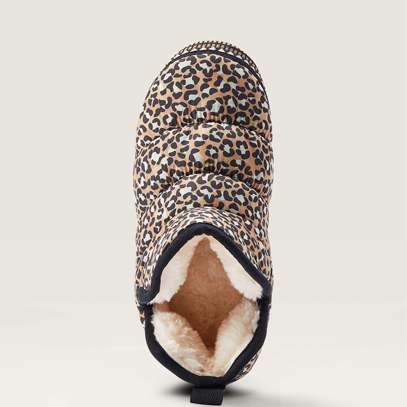 Ariat Crius Bootie Slipper Leopard Femme | UBV-39959356