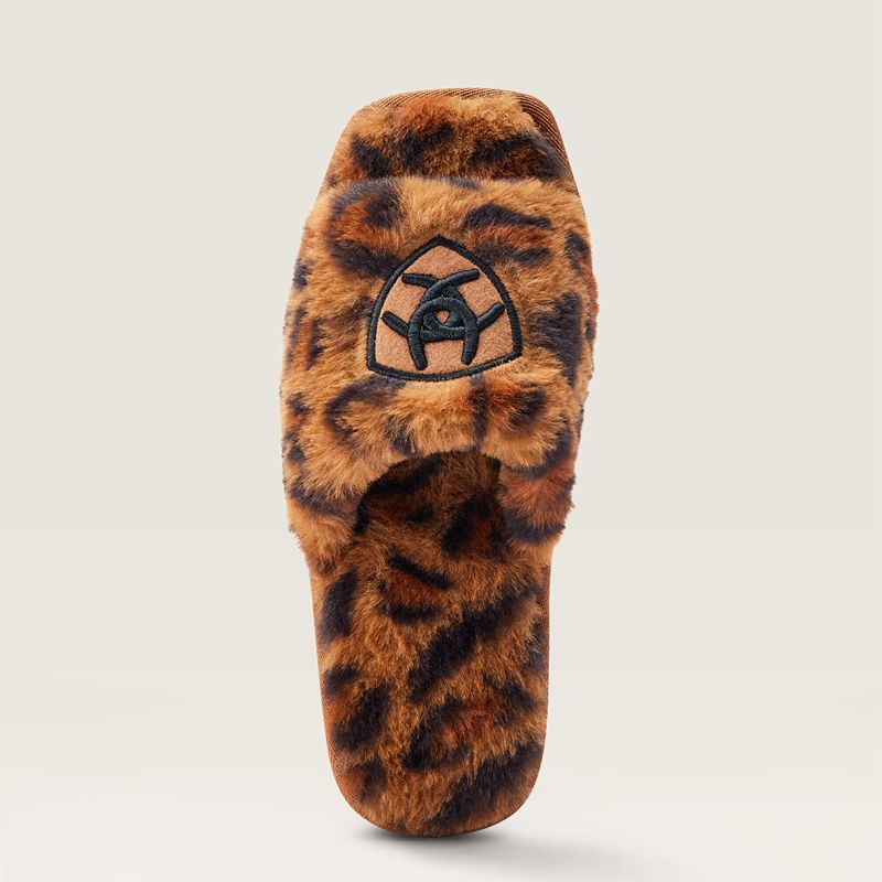 Ariat Cozy Chic Square Toe Slipper Leopard Femme | RQV-25074923