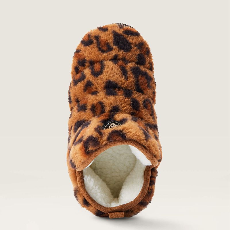 Ariat Bootie Slipper Leopard Femme | UOF-69766236