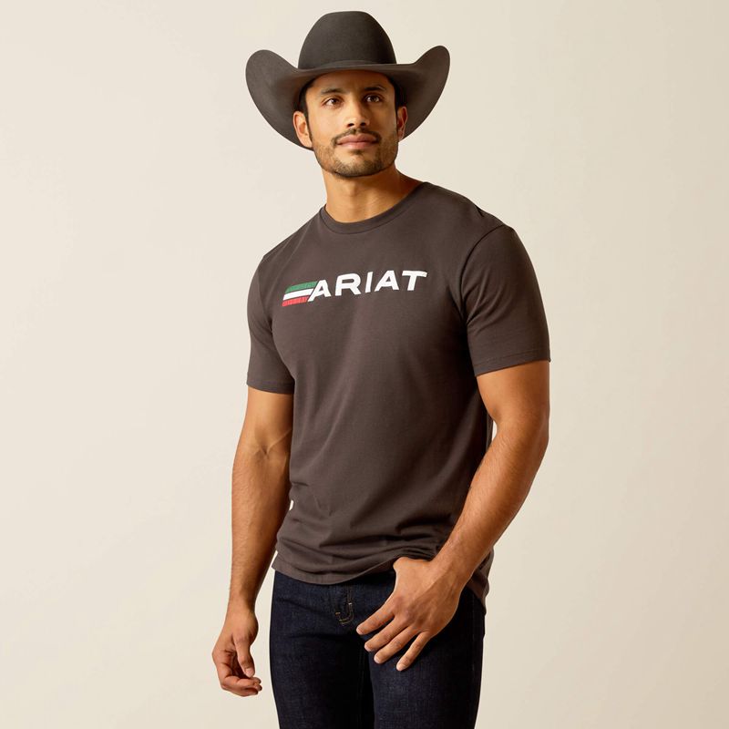 Ariat Viva T-Shirt Noir Homme | BCO-74164941