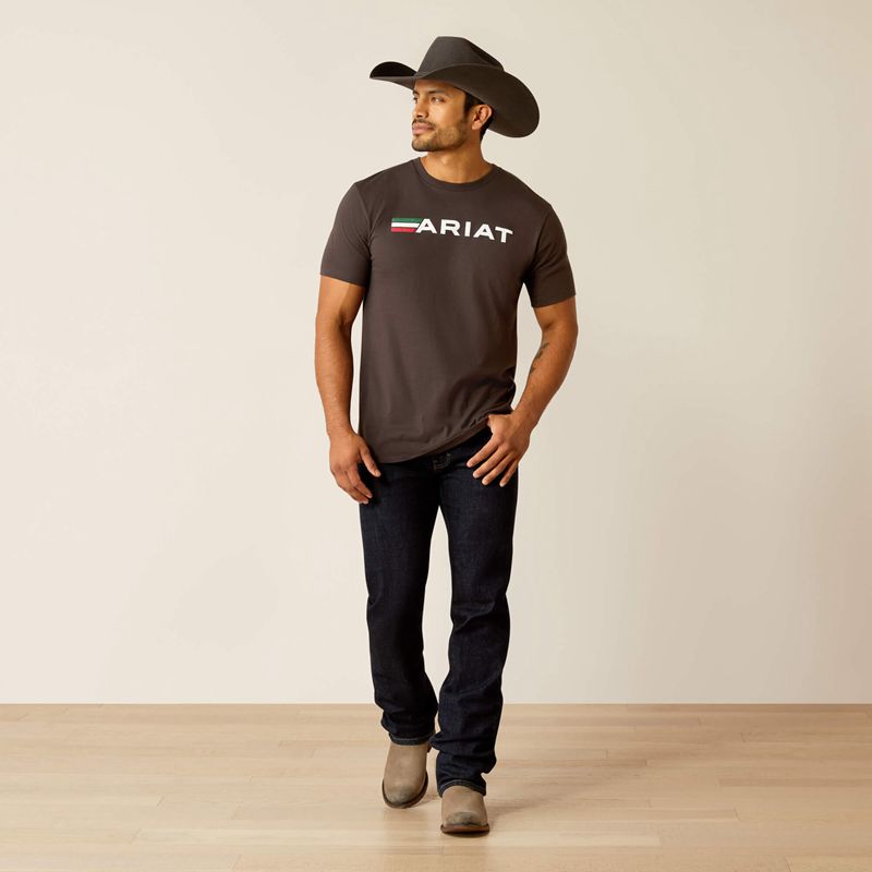 Ariat Viva T-Shirt Noir Homme | BCO-74164941