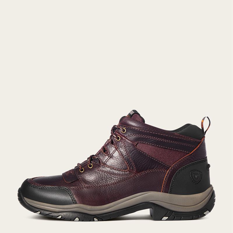 Ariat Terrain Cordovan Homme | EDJ-39451609