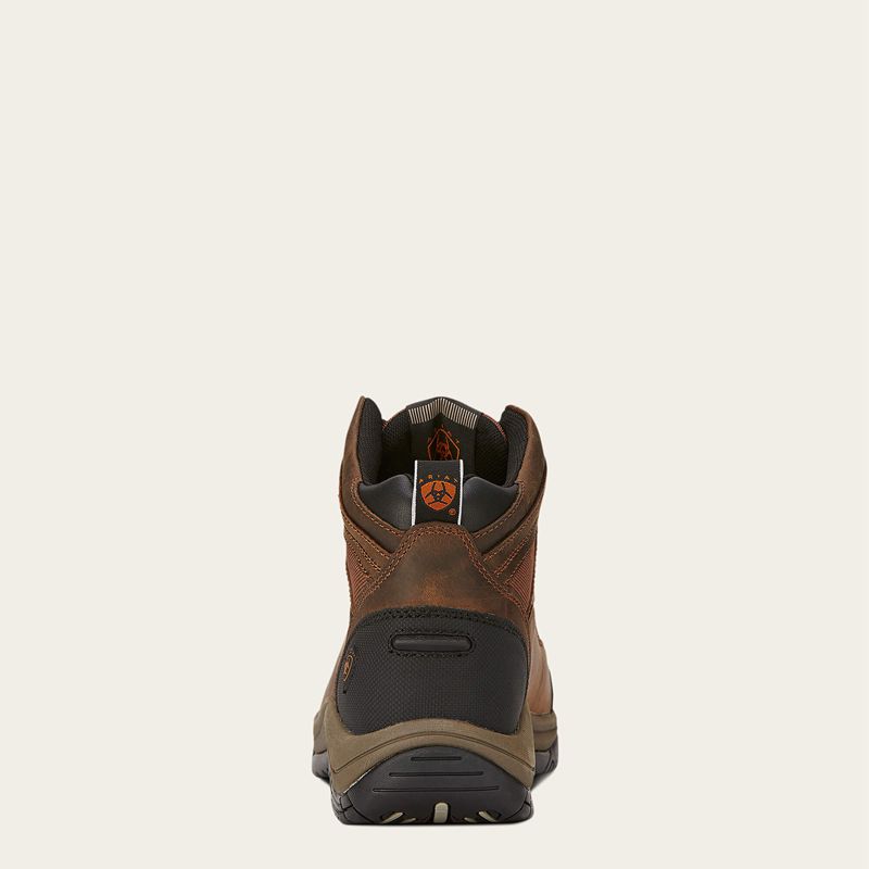 Ariat Terrain Wide Square Toe Steel Toe Work Boot Marron Homme | YCB-70959086