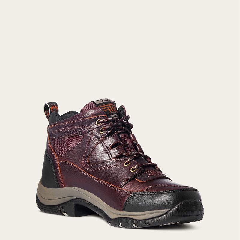 Ariat Terrain Cordovan Homme | EDJ-39451609