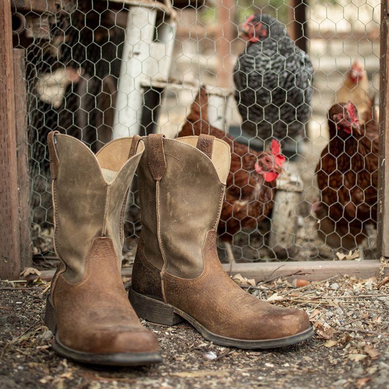 Ariat Rambler Western Boot Earth Homme | YAL-29997193