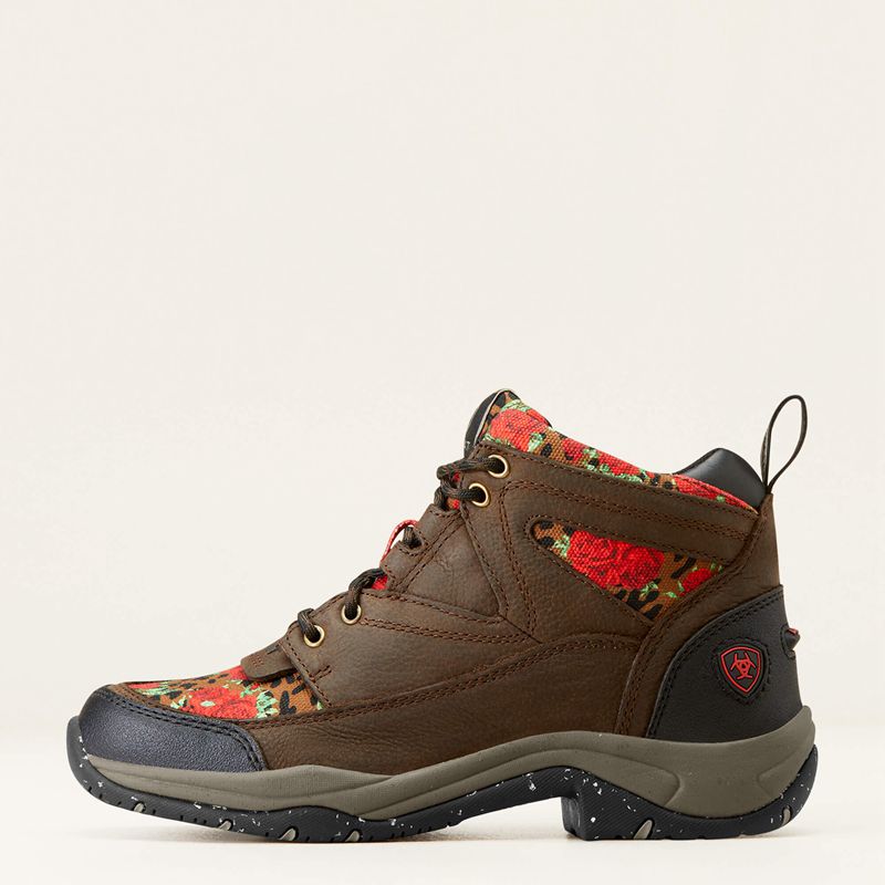 Ariat Terrain Eco Boot Java Femme | FUT-63102642