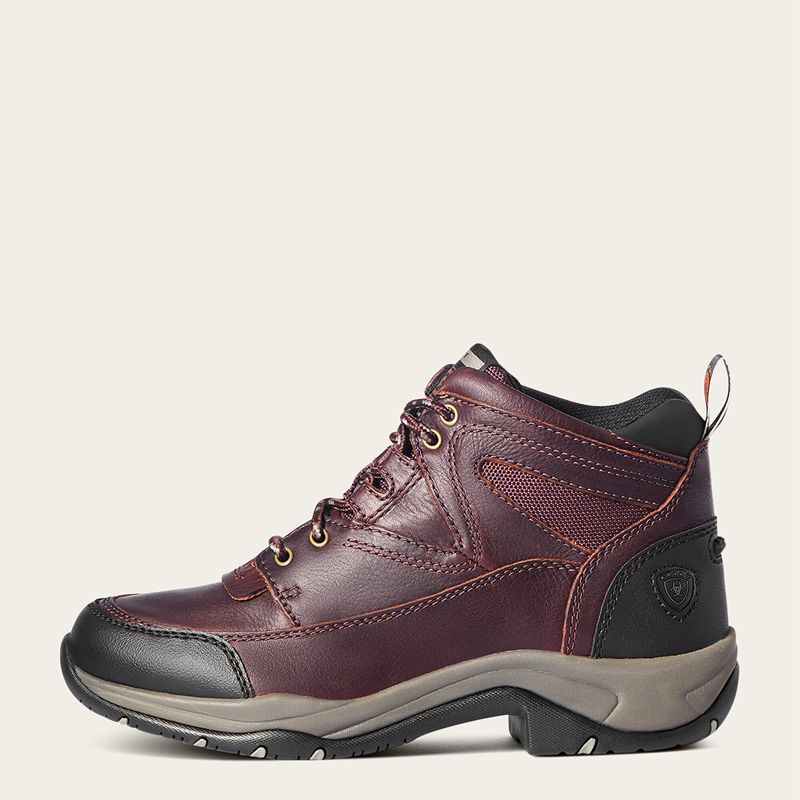 Ariat Terrain Boot Cordovan Femme | RXK-41719946